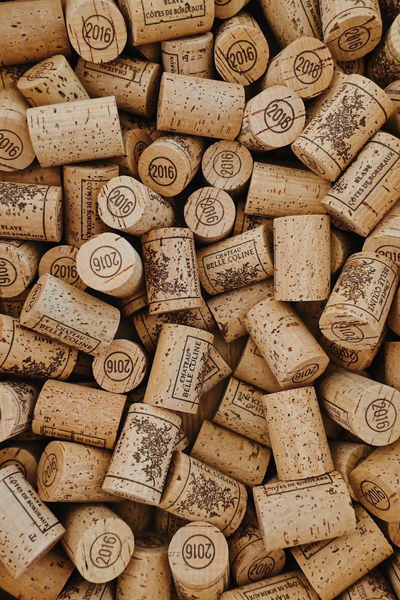 Processed with VSCO with m5 preset