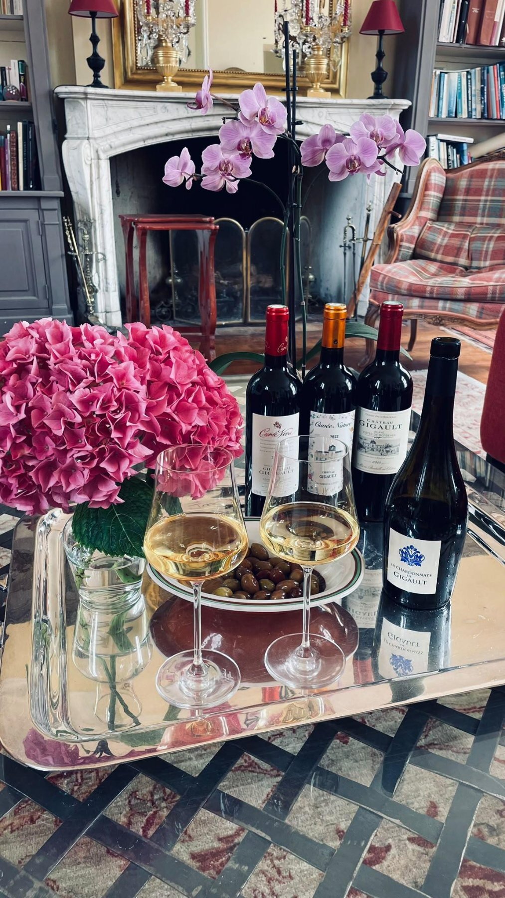 oenotourisme a bordeaux au chateau gigault (1)