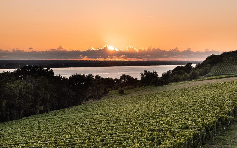 oenotourisme a bordeaux au chateau gigault (5)