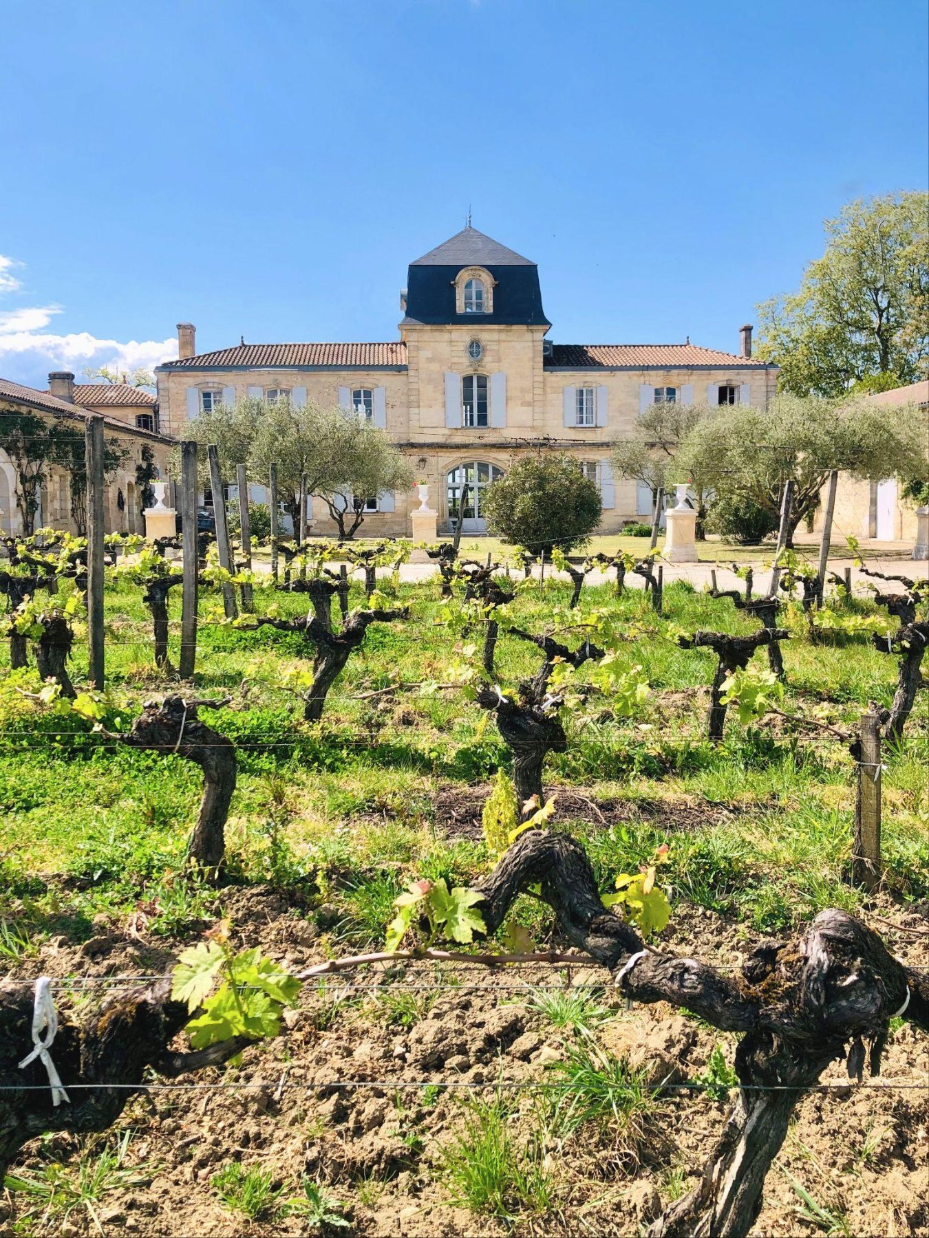 oenotourisme a bordeaux au chateau gigault